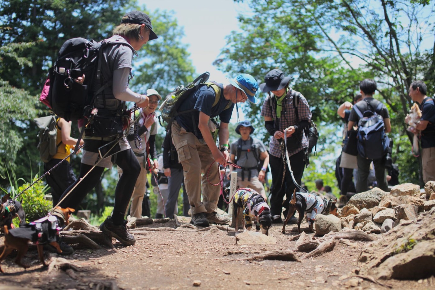Have Fun! のイベントで犬と歩く参加者たち